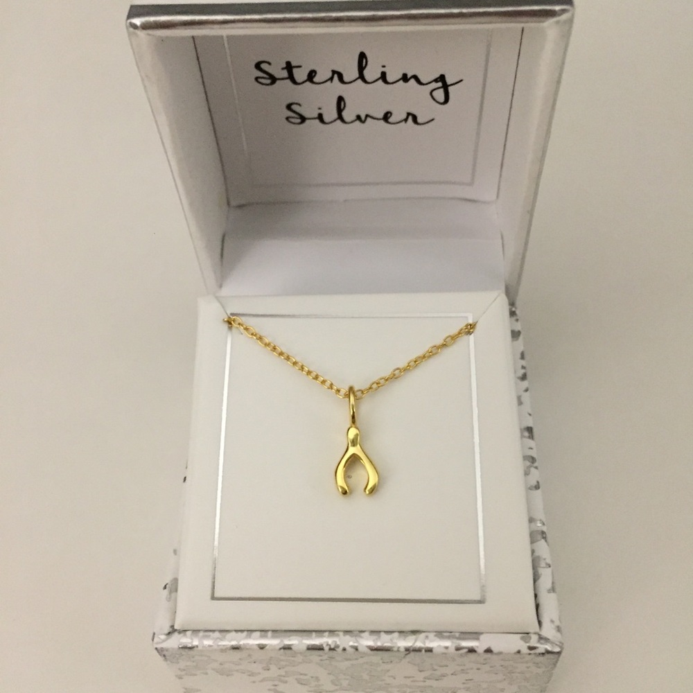 Sterling Silver Mini Wishbone Pendant Necklace